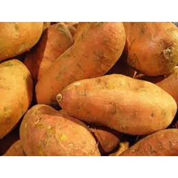 Organic Sweet Potato 